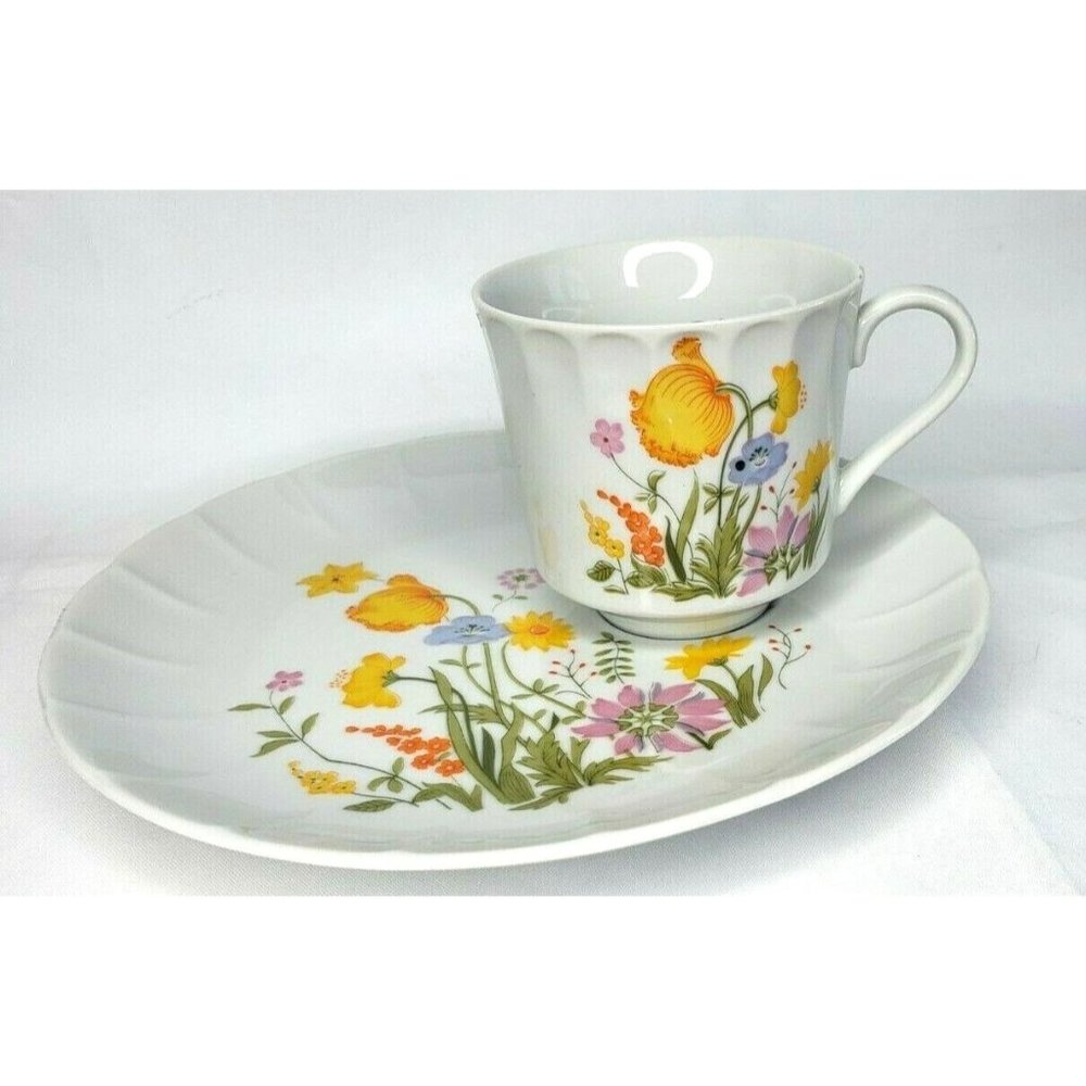 Vintage Stoneware Hearthside Petit Floras s-1422 Japan Tea Cup And Fitted Plate